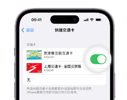 威信apple维修点分享iPhone上更换Apple Pay快捷交通卡手绘卡面 