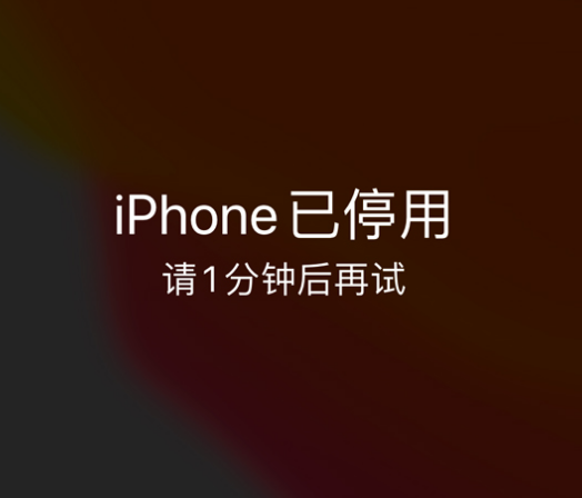 威信苹果手机维修分享:iPhone 显示“不可用”或“已停用”怎么办？还能保留数据吗？ 