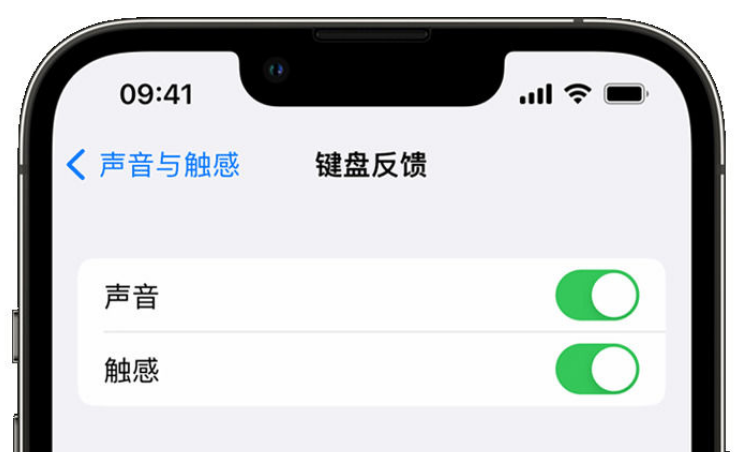 威信苹果手机维修分享iPhone 14触感键盘使用方法 