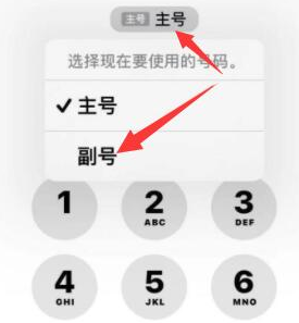 威信苹果14维修店分享iPhone 14 Pro Max使用副卡打电话的方法 