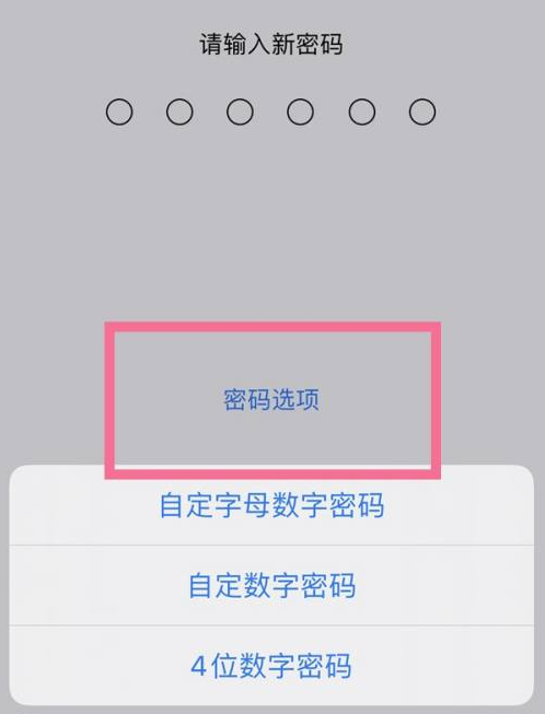 威信苹果14维修分享iPhone 14plus设置密码的方法 