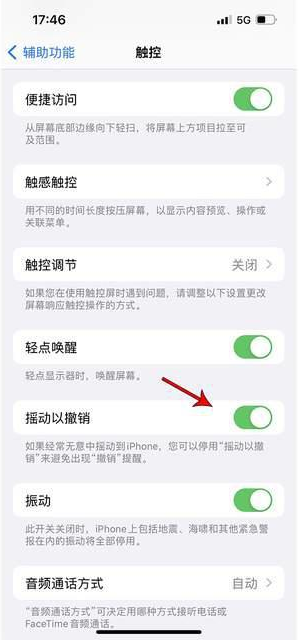 威信苹果手机维修分享iPhone手机如何设置摇一摇删除文字 