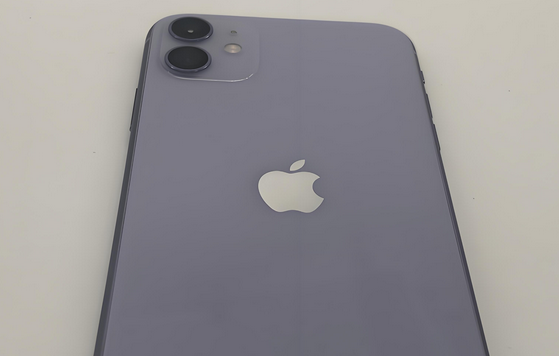 威信苹果11系统维修分享iPhone11手机系统崩溃无法开机如何解决 